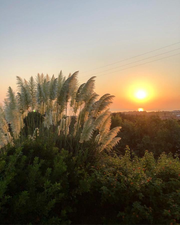 Amaremare B&B Stintino Kültér fotó