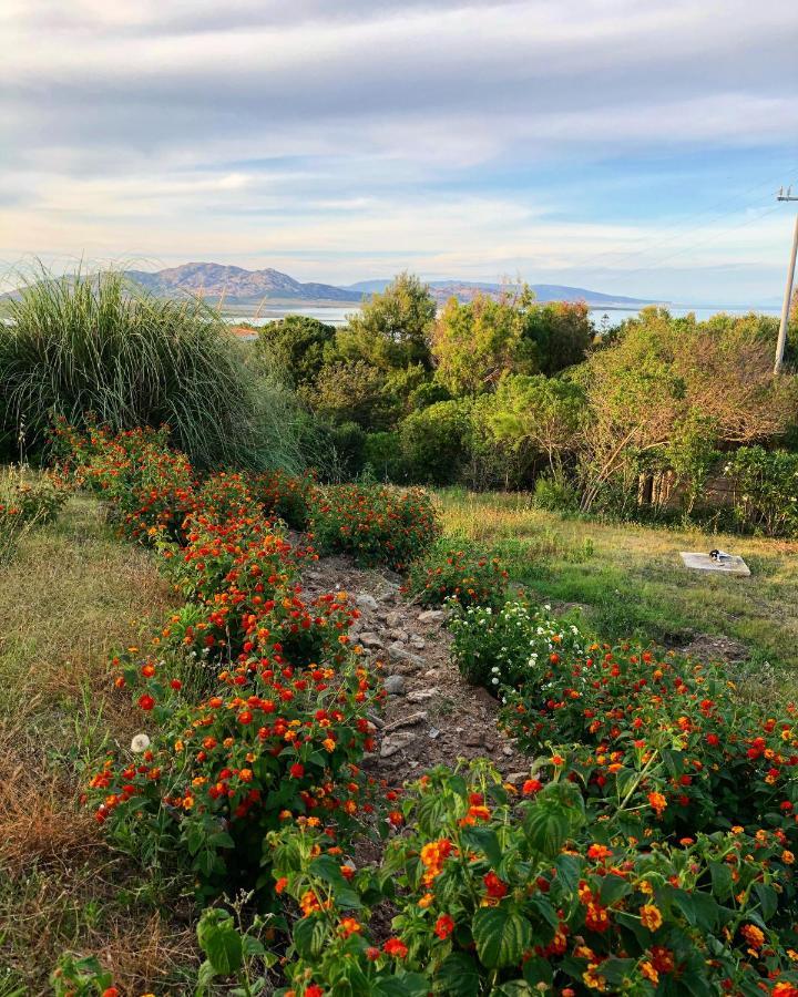 Amaremare B&B Stintino Kültér fotó